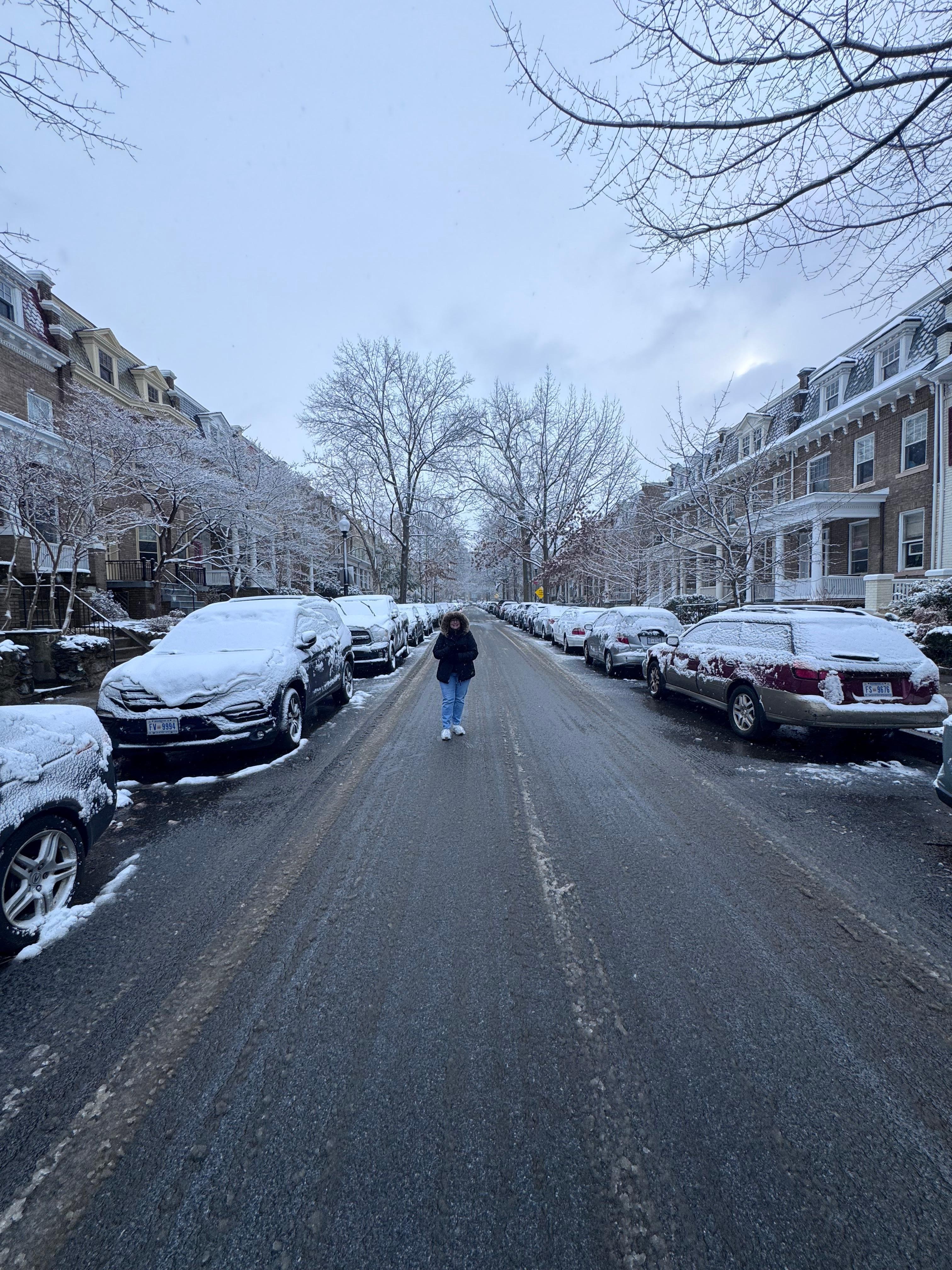 A few yards up the street on a snowy morning. 
