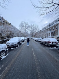 A few yards up the street on a snowy morning.