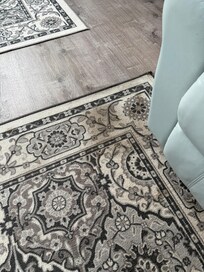 Stains that were there upon arrival