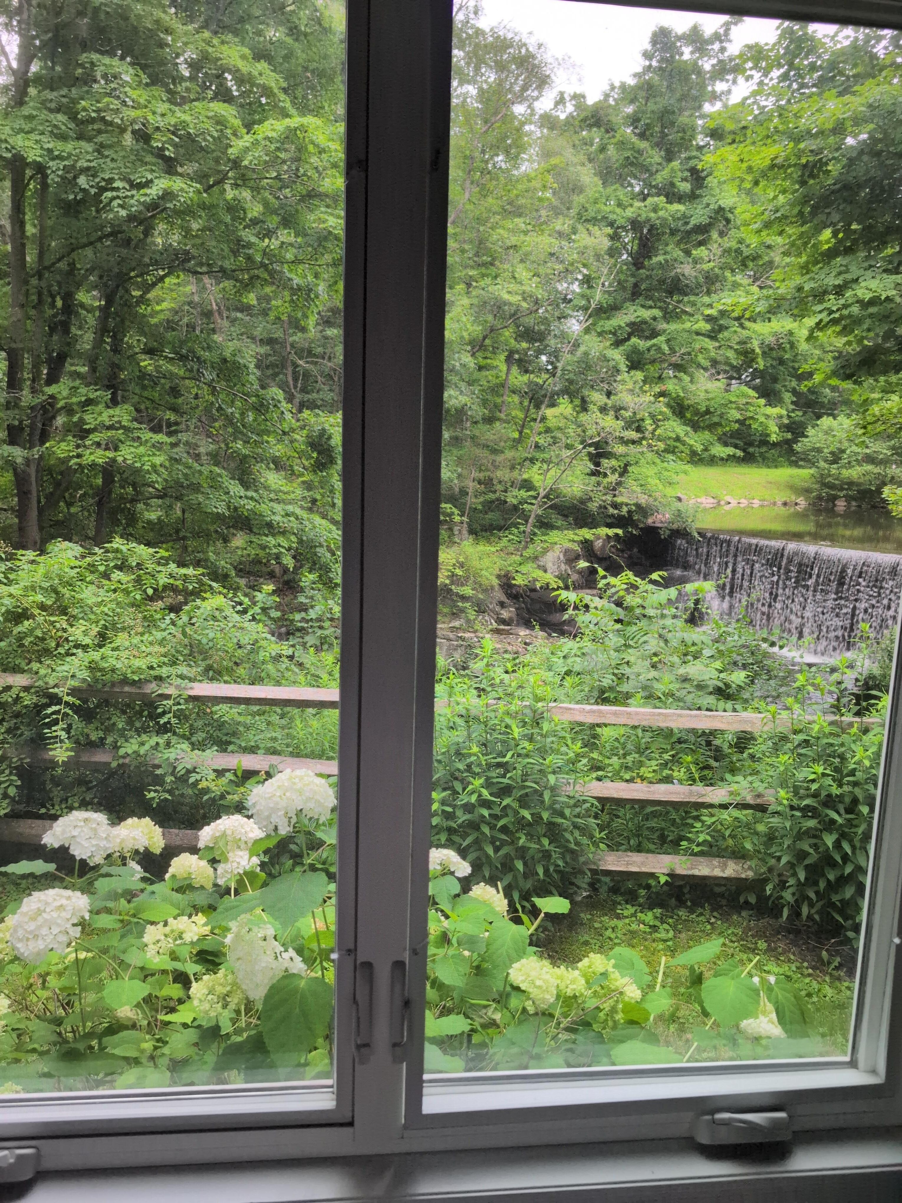 View from the bedroom