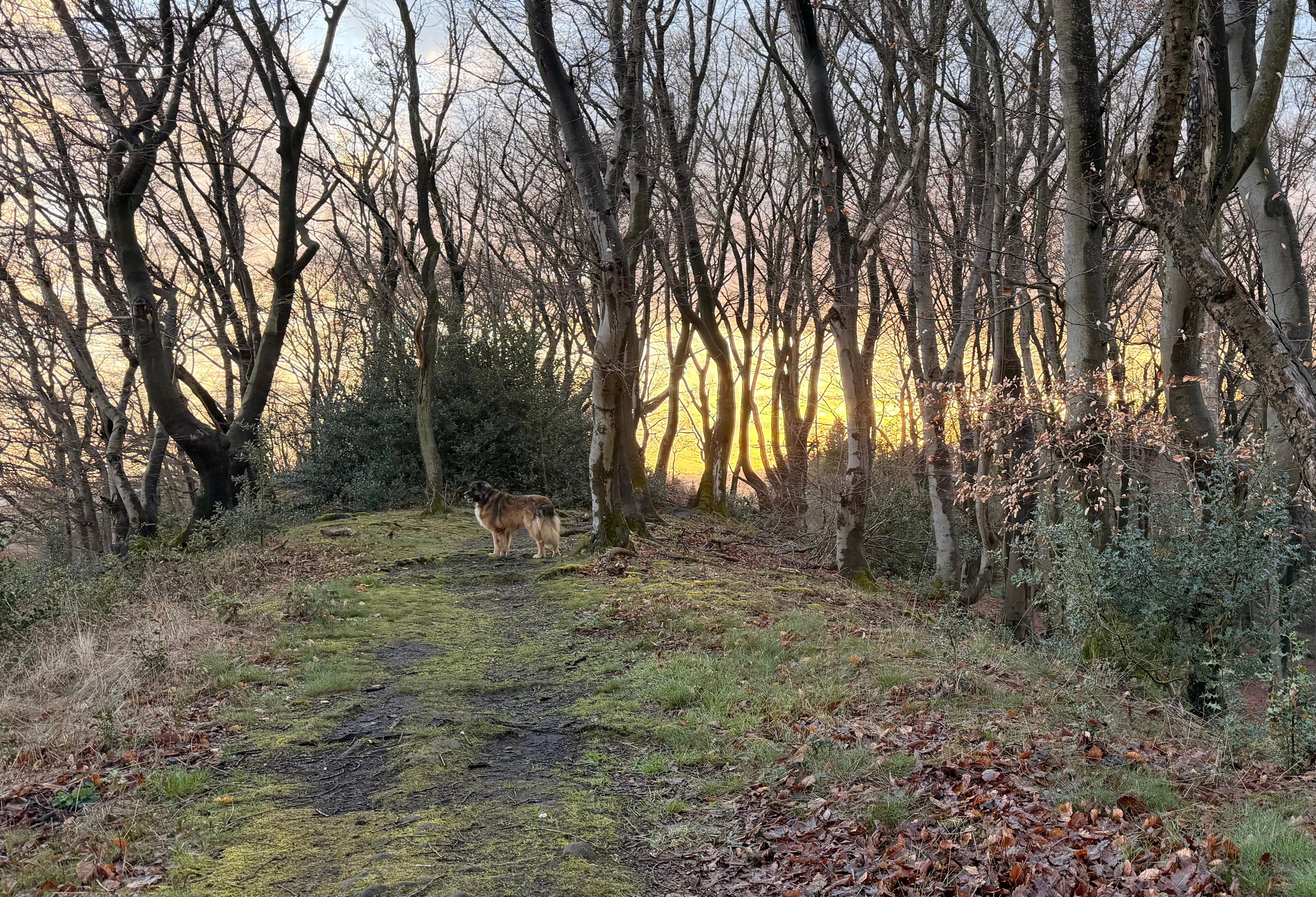 Schöner Wanderweg direkt in der Nähe