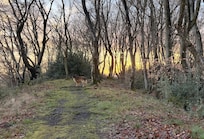 Schöner Wanderweg direkt in der Nähe