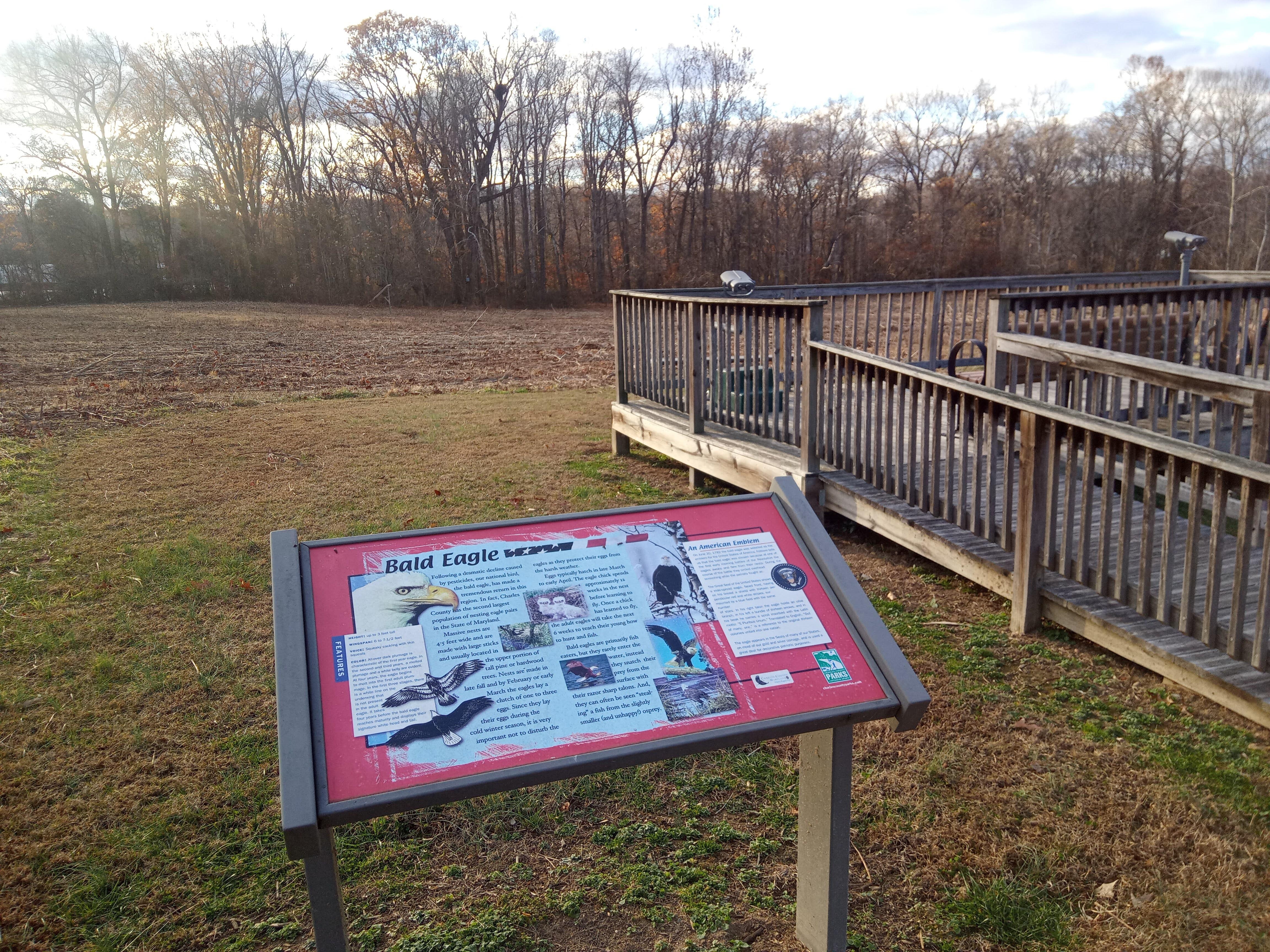 safe viewing of Eagles nests from platform at park