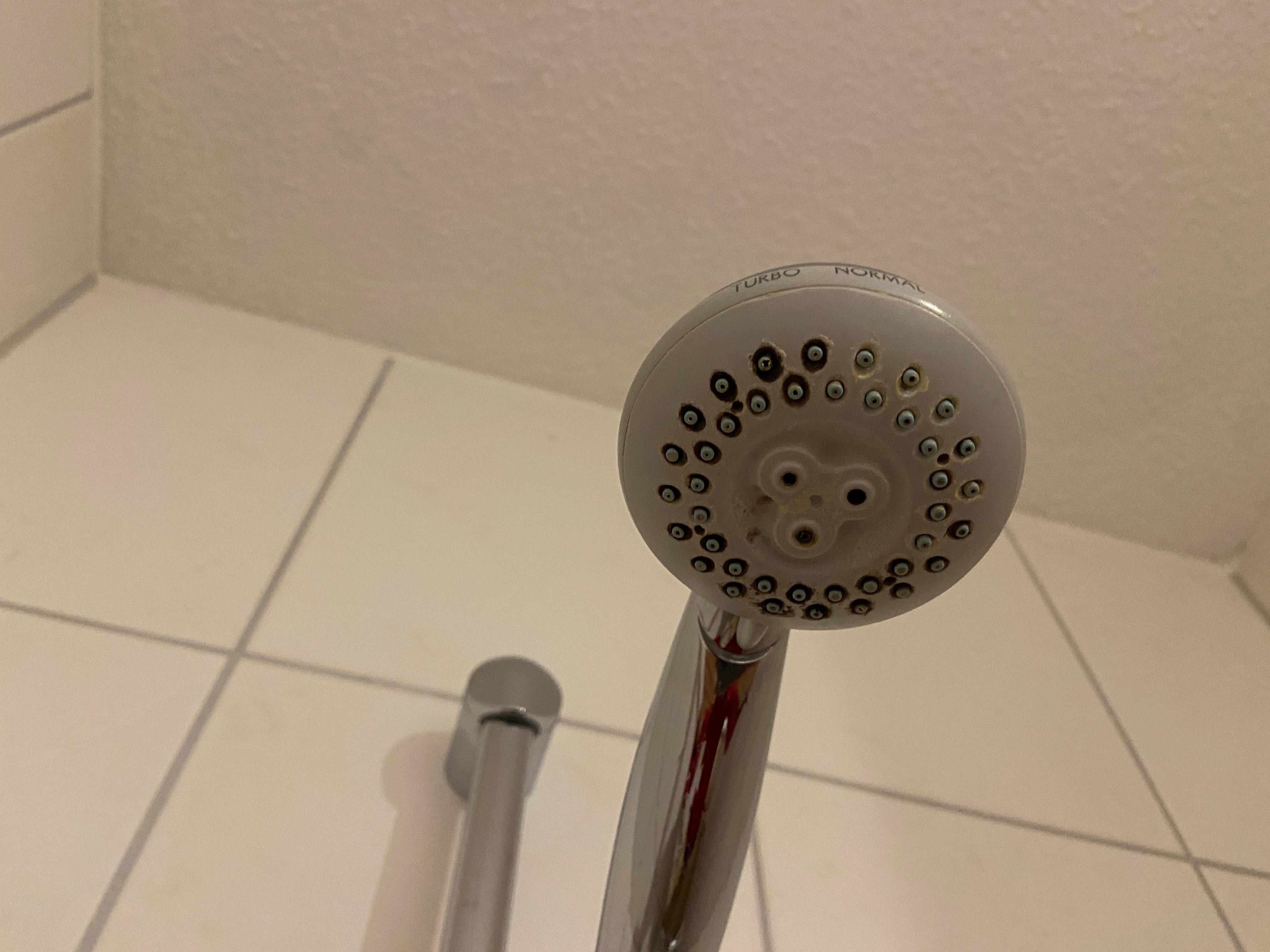 Schimmliger Duschkopf