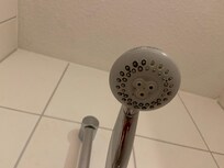 Schimmliger Duschkopf