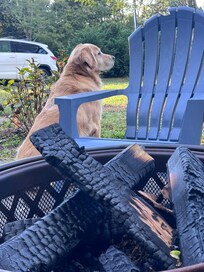 Koda our golden retriever enjoyed his stay