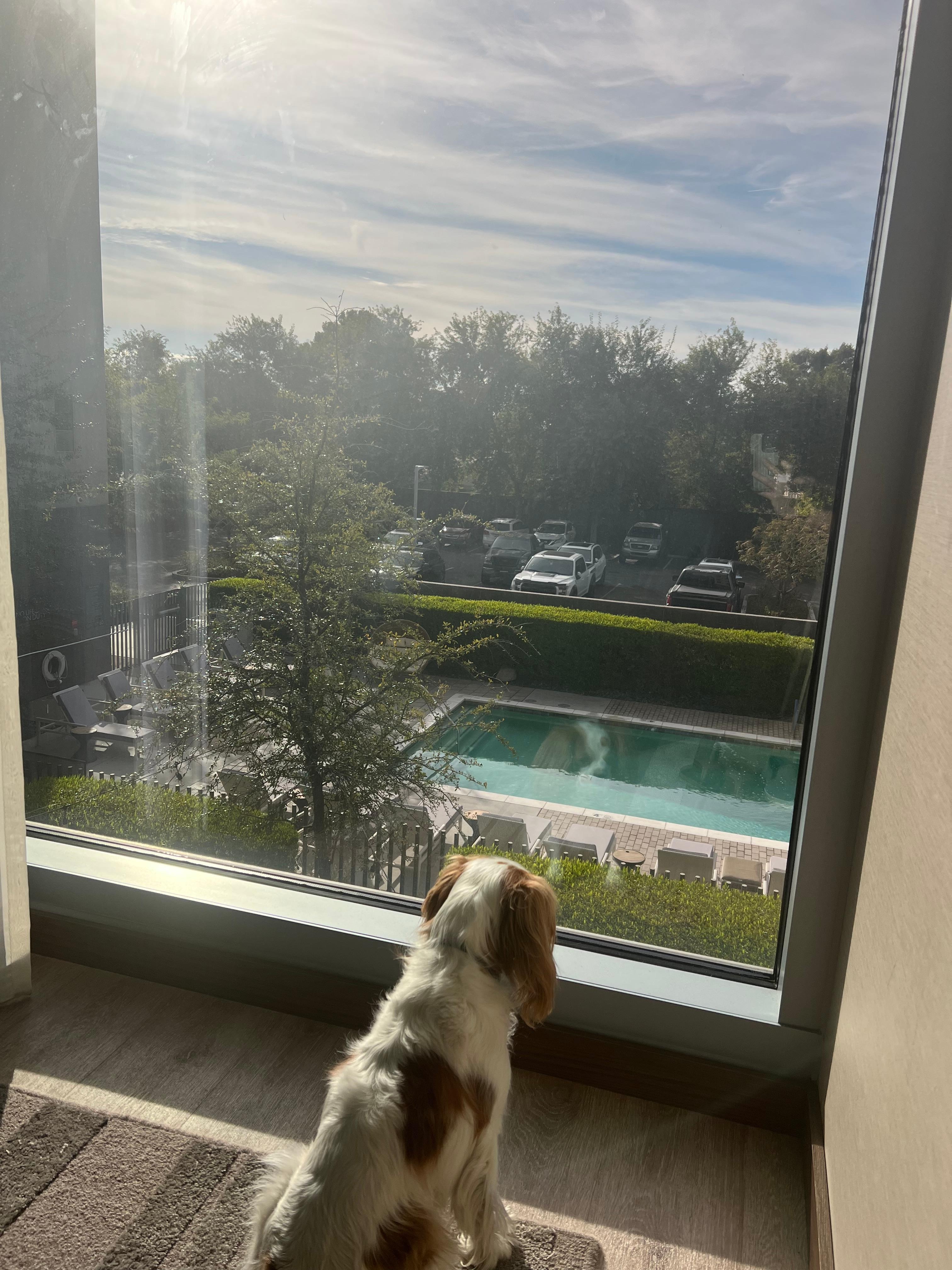 Wonderful view from room!