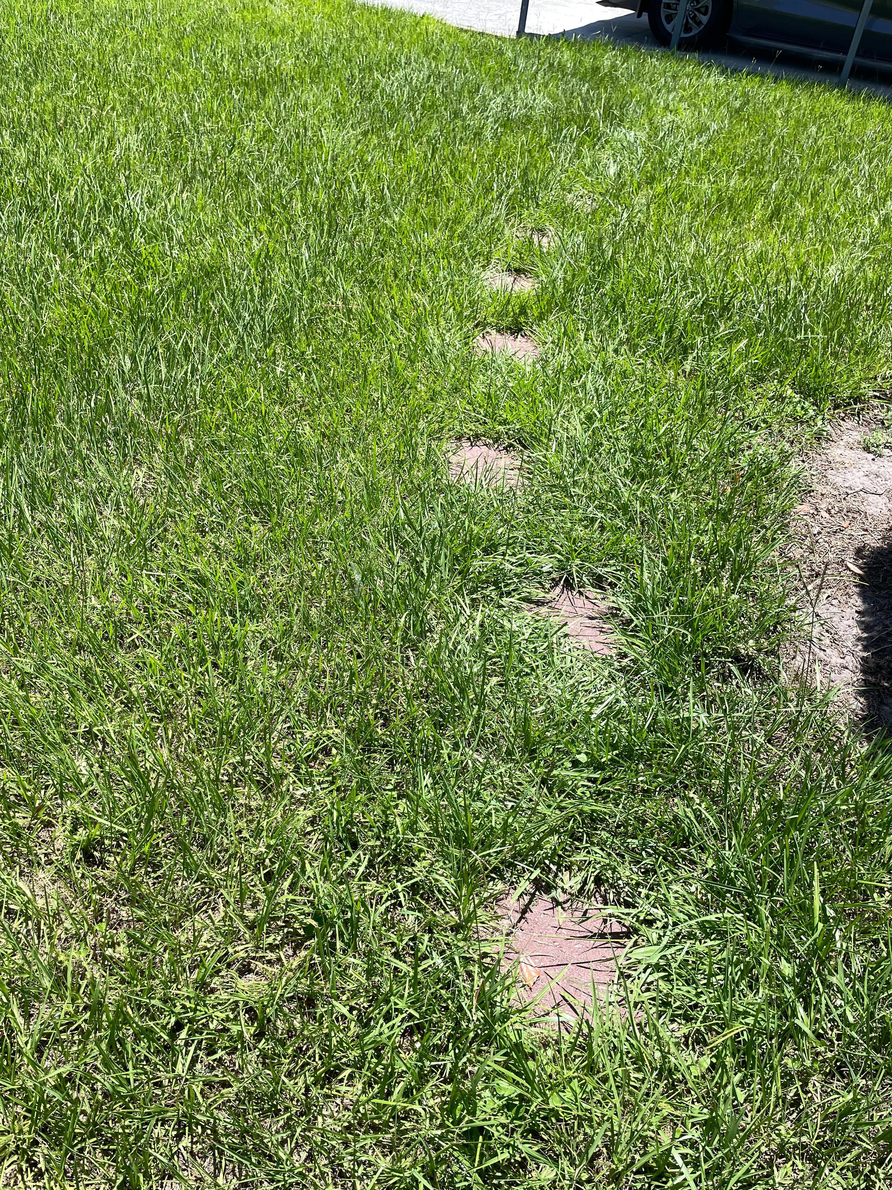 Overgrown path that we could not navigate when we arrived. Hardly visible. Apparently, lawn care had been called out and photos taken to confirm that the lawn had been mowed and the pathway cleared. This was not our experience.