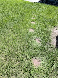 Overgrown path that we could not navigate when we arrived. Hardly visible. Apparently, lawn care had been called out and photos taken to confirm that the lawn had been mowed and the pathway cleared. This was not our experience.