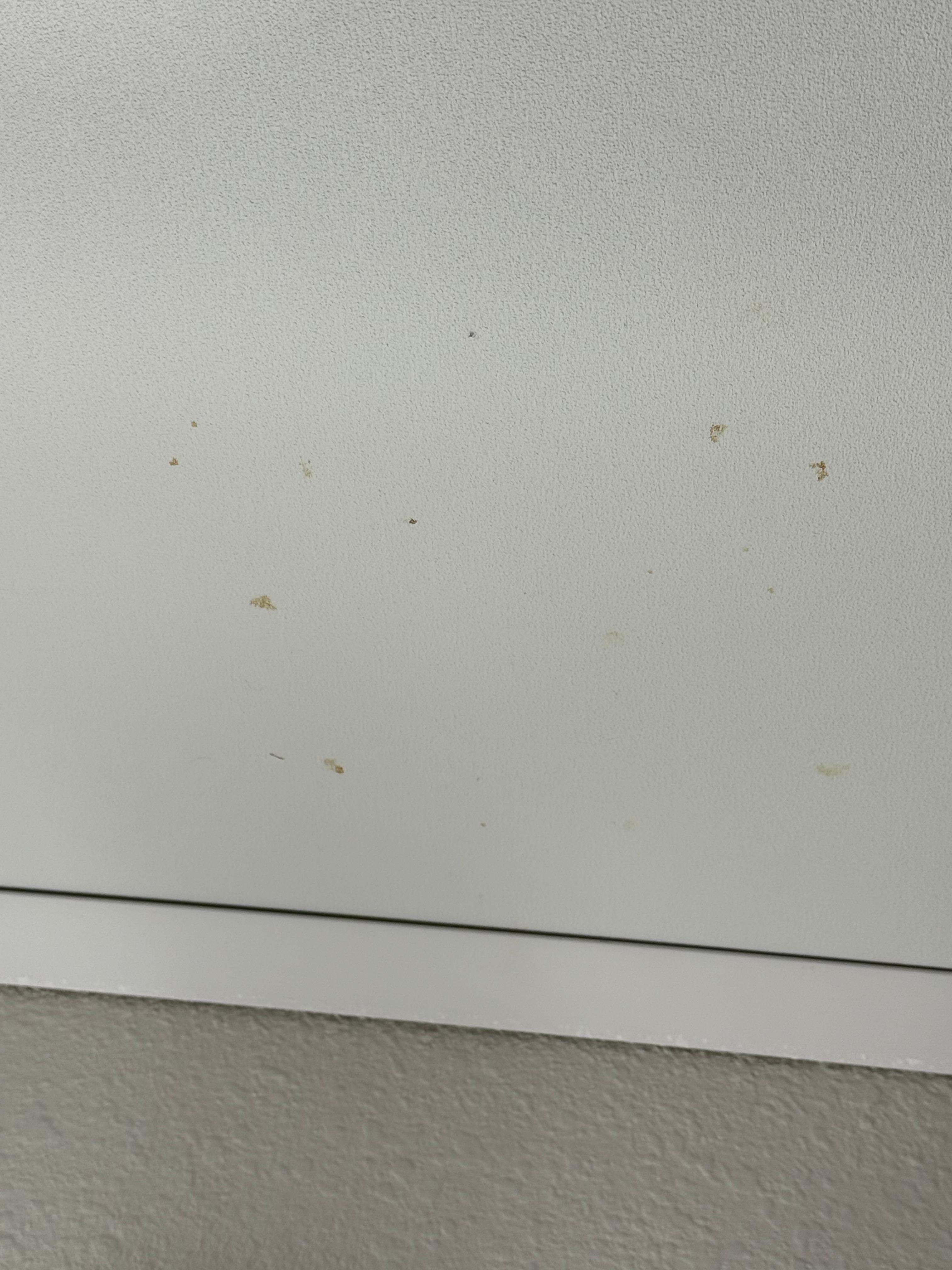 Ceiling splatter 