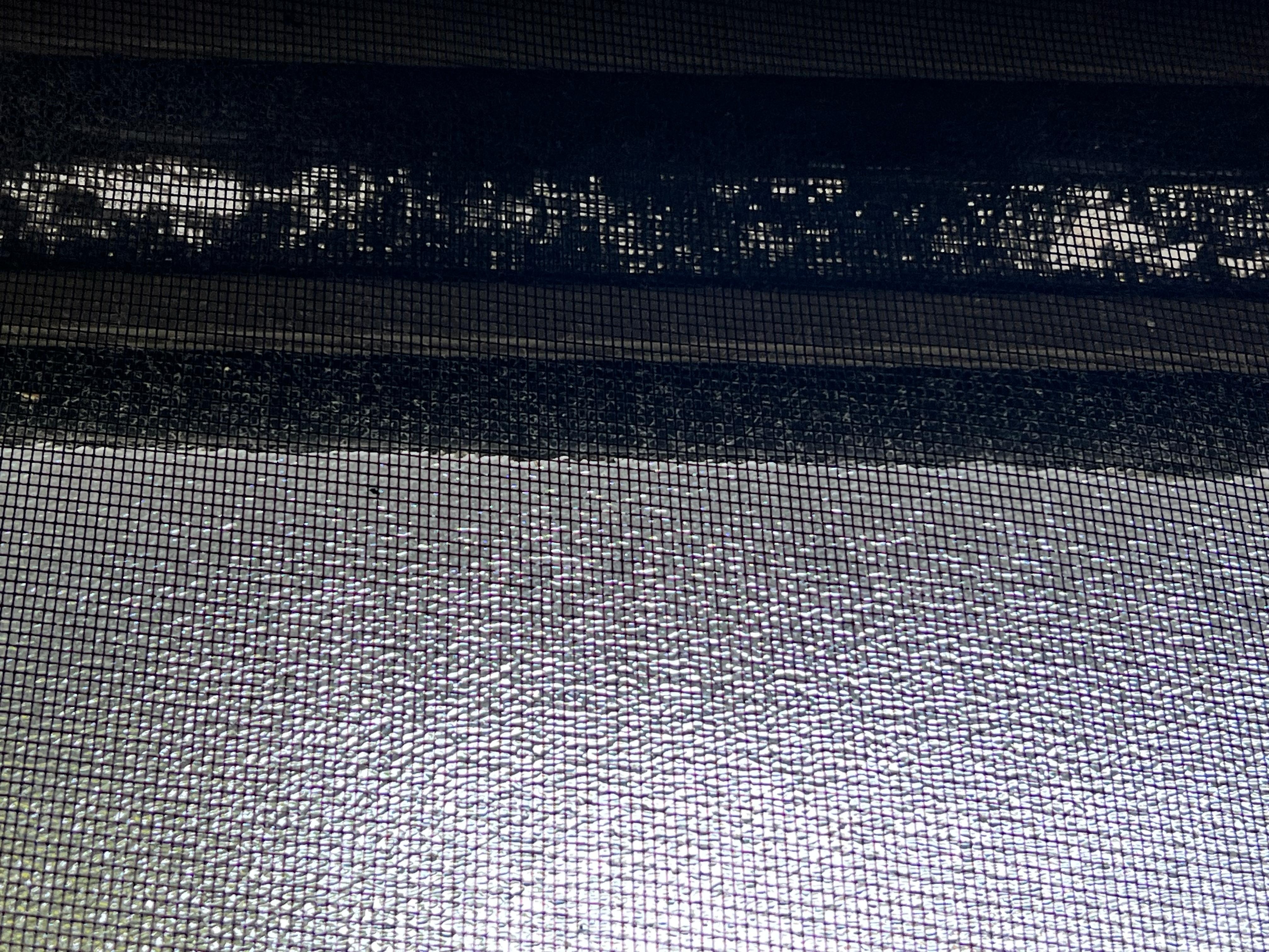 Filthy fly screens including dead insects