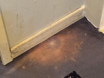 Hallway carpet
