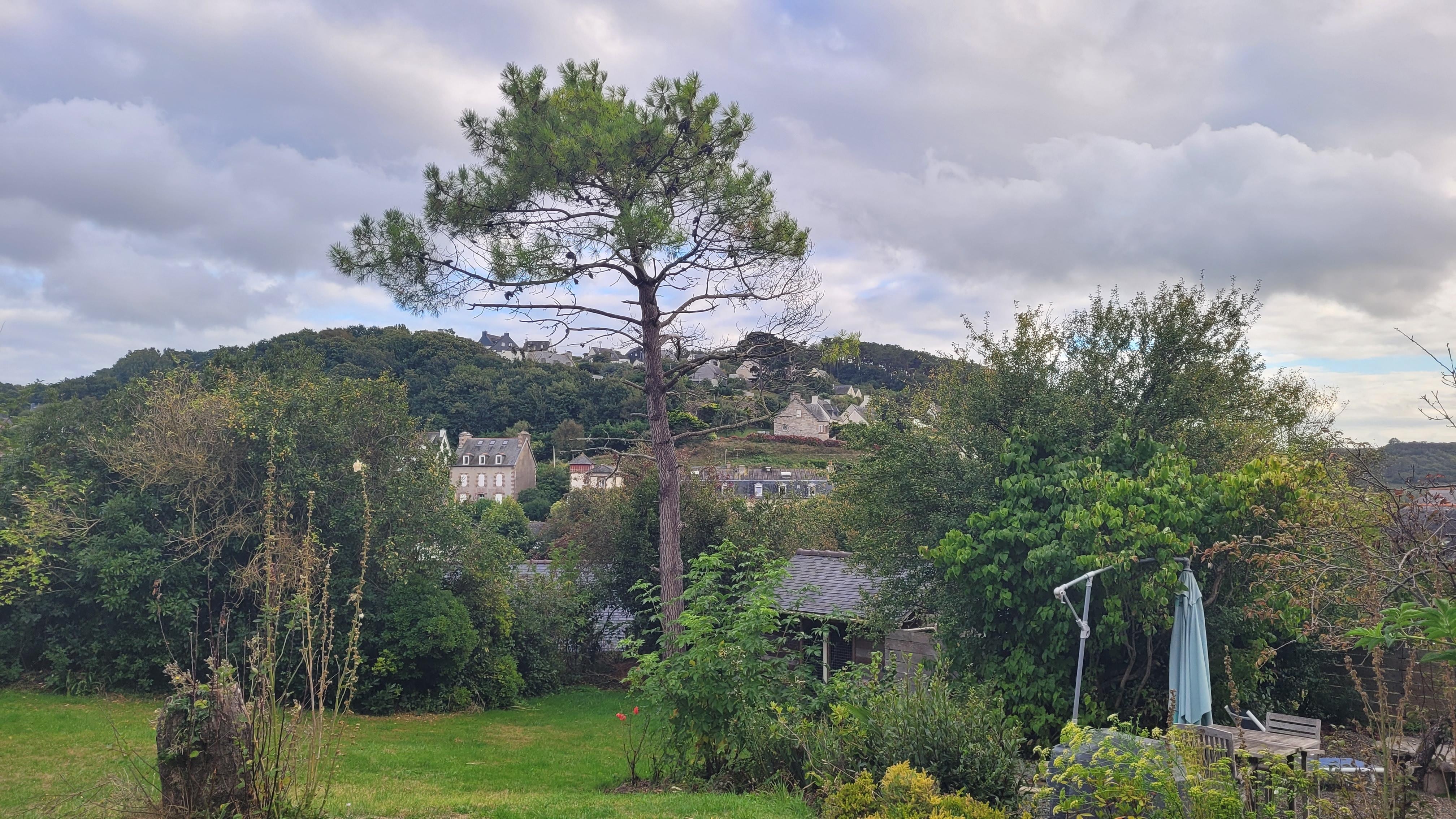 Blick vom Garten Richtung Ortsmitte