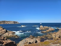 And icebergs
