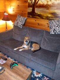 Olivia just hanging out 😁 this was her first trip and she did so good at your cabin.