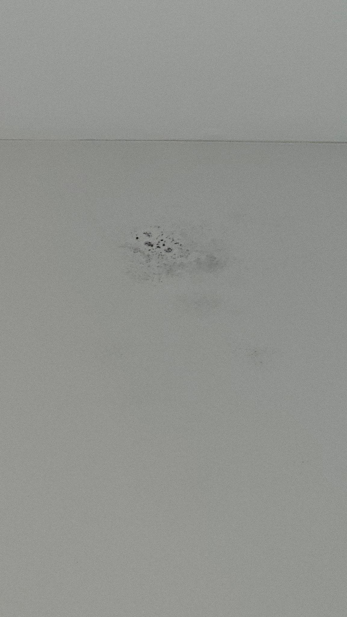 Mold on ceilings 