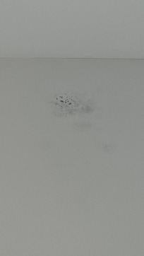 Mold on ceilings