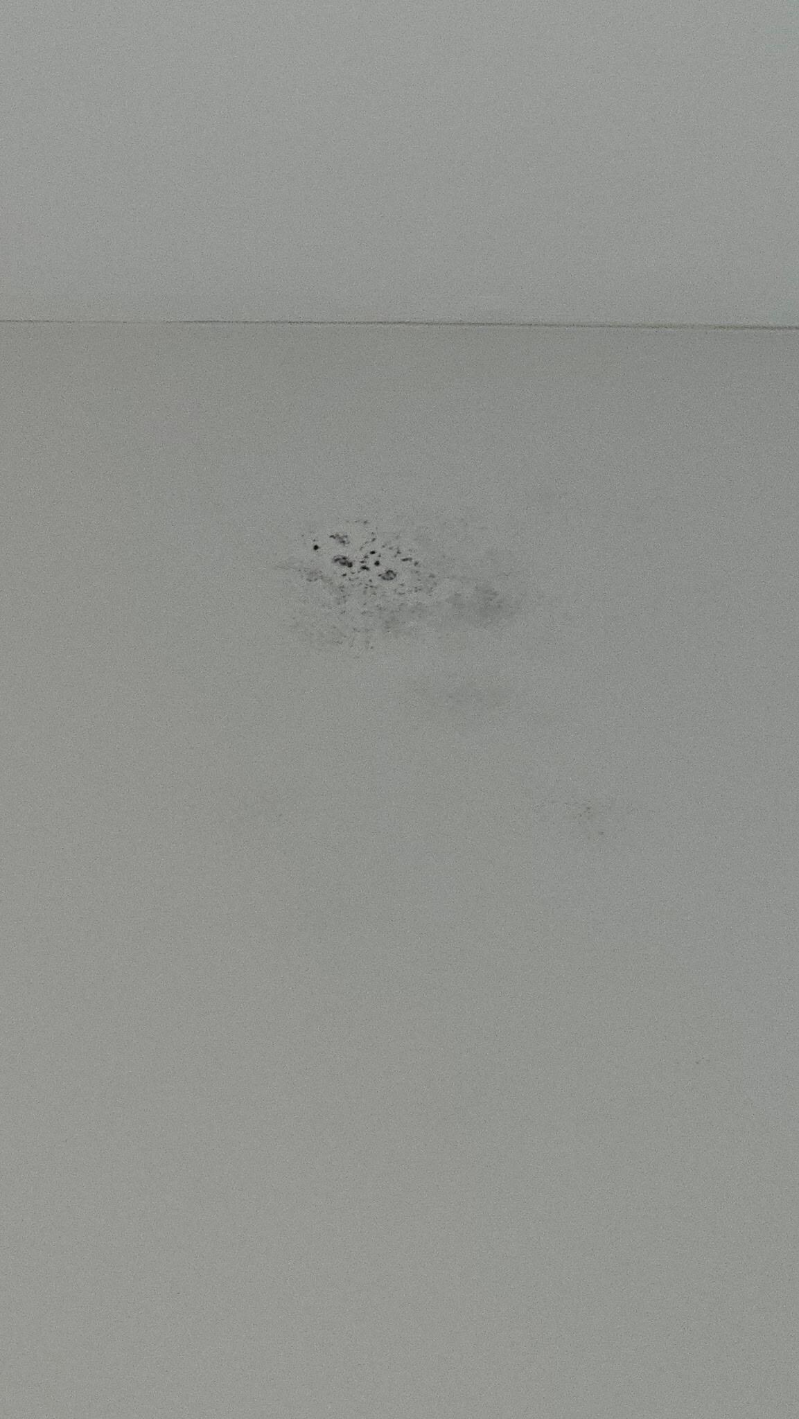 Mold on ceilings 