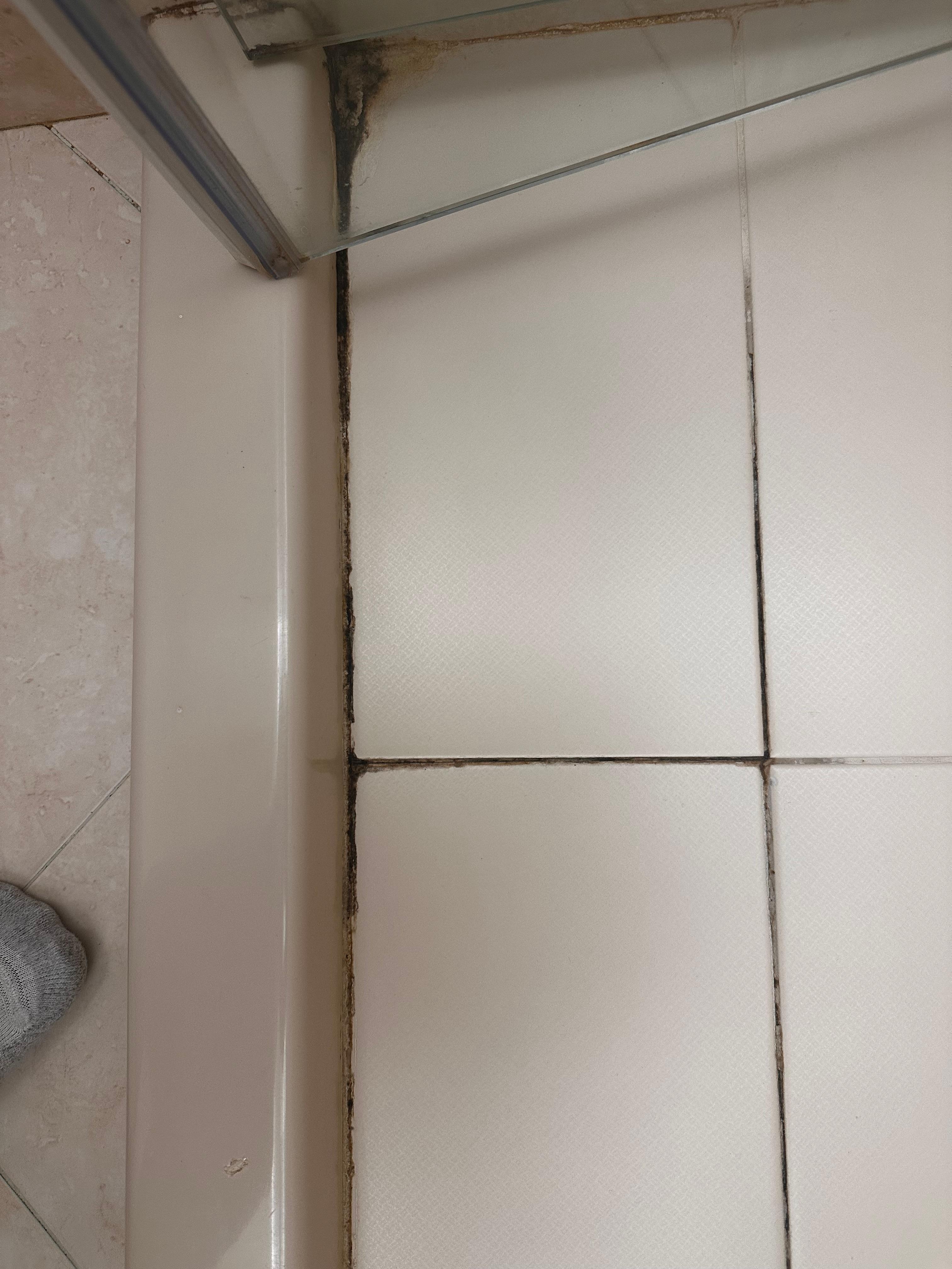Mold in bathroom shower