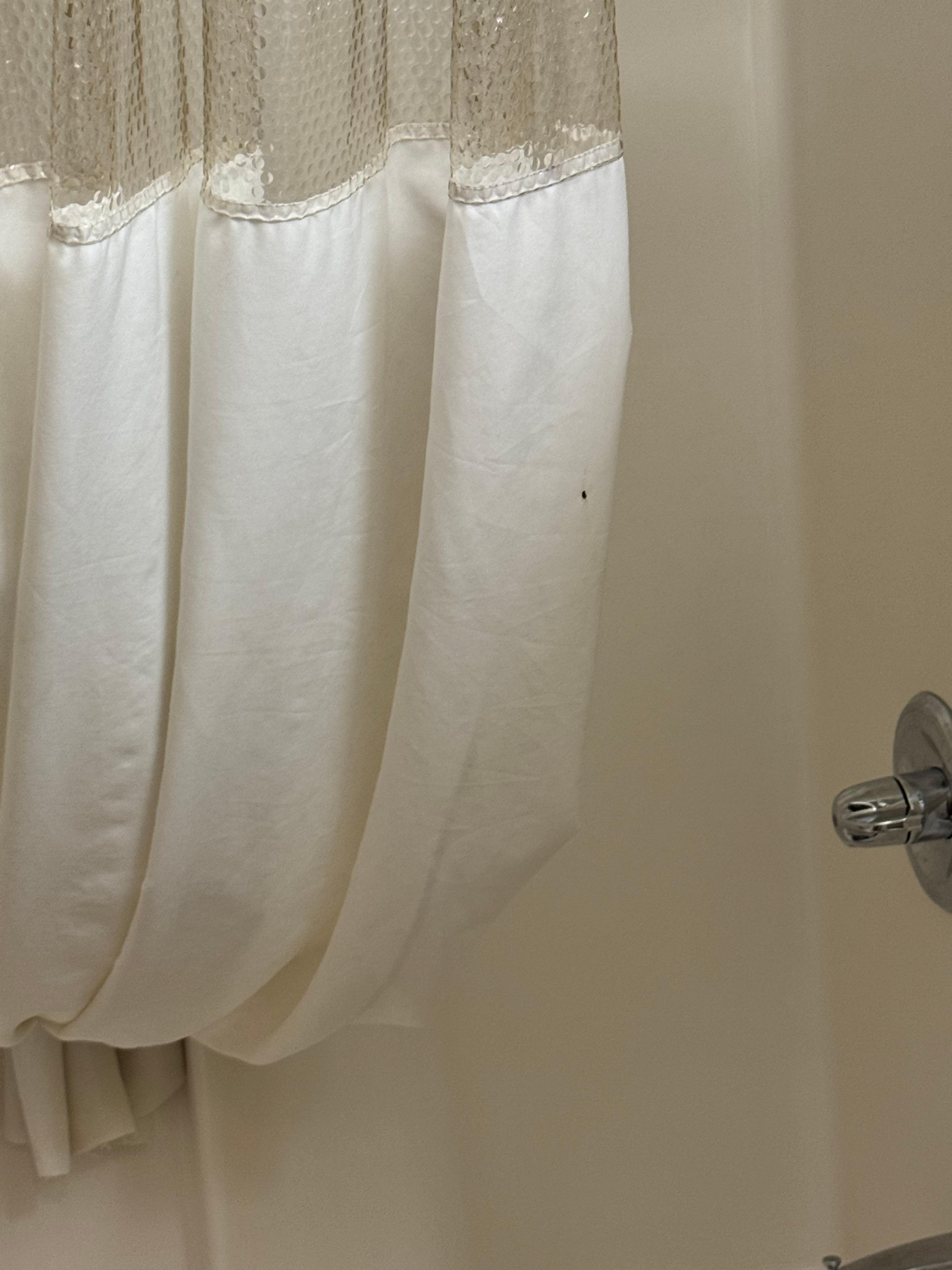 Dirty shower curtain