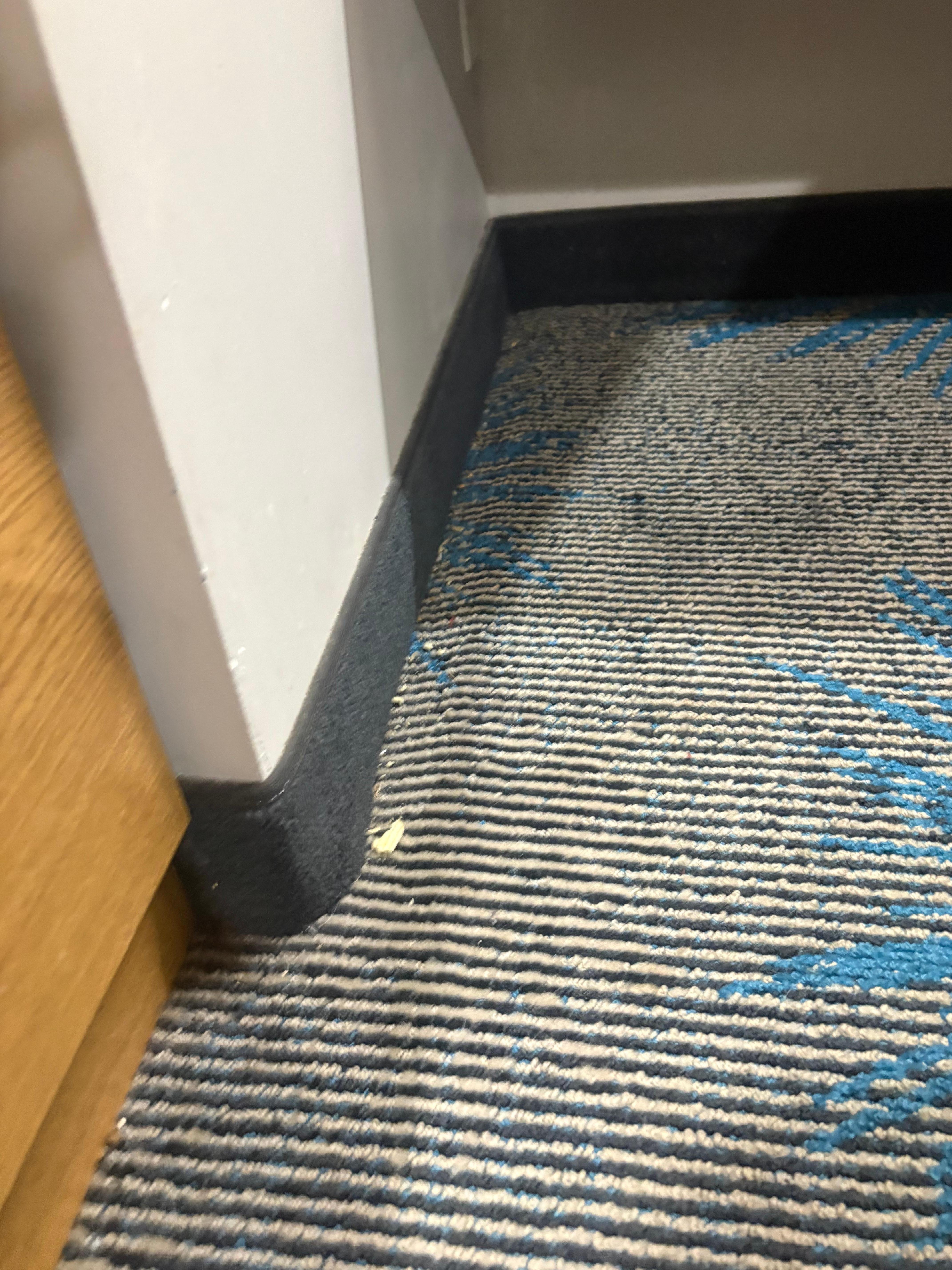 Basura en todo el lugar 