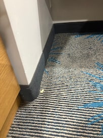 Basura en todo el lugar