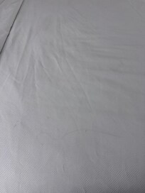 Hair on bed. Bedding appeared unchanged.