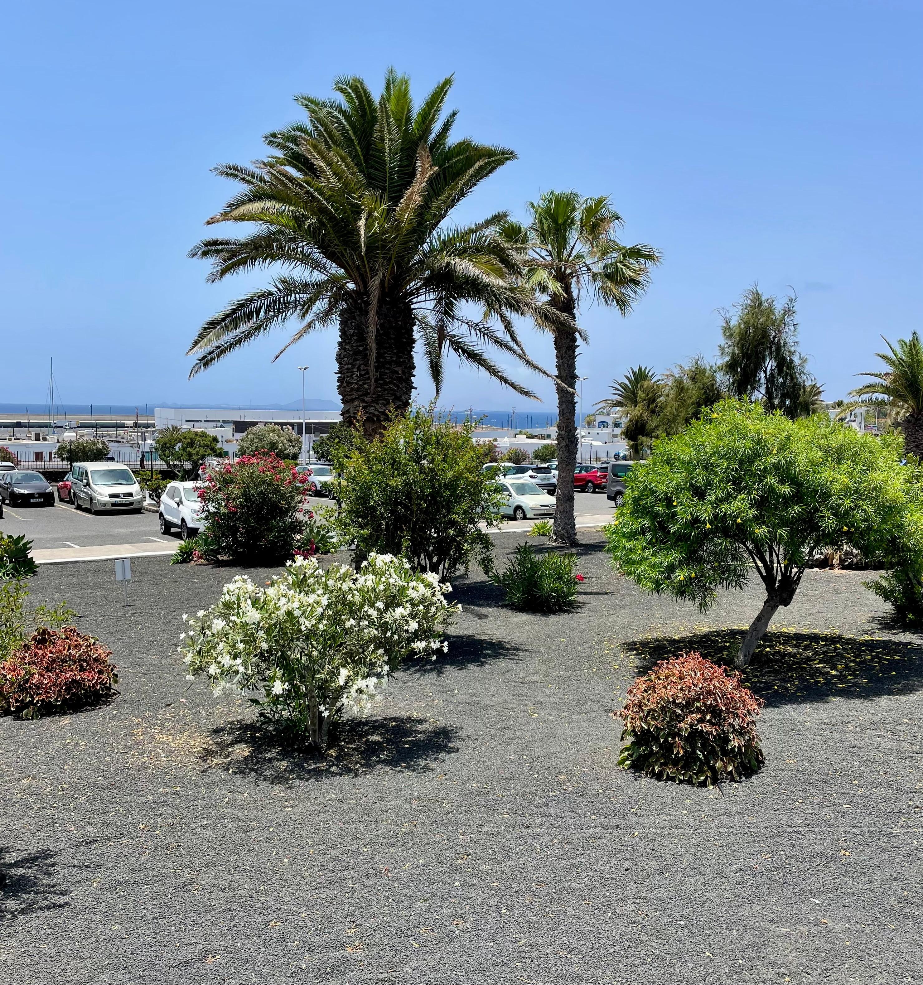 View from the terrace