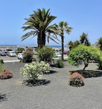 View from the terrace