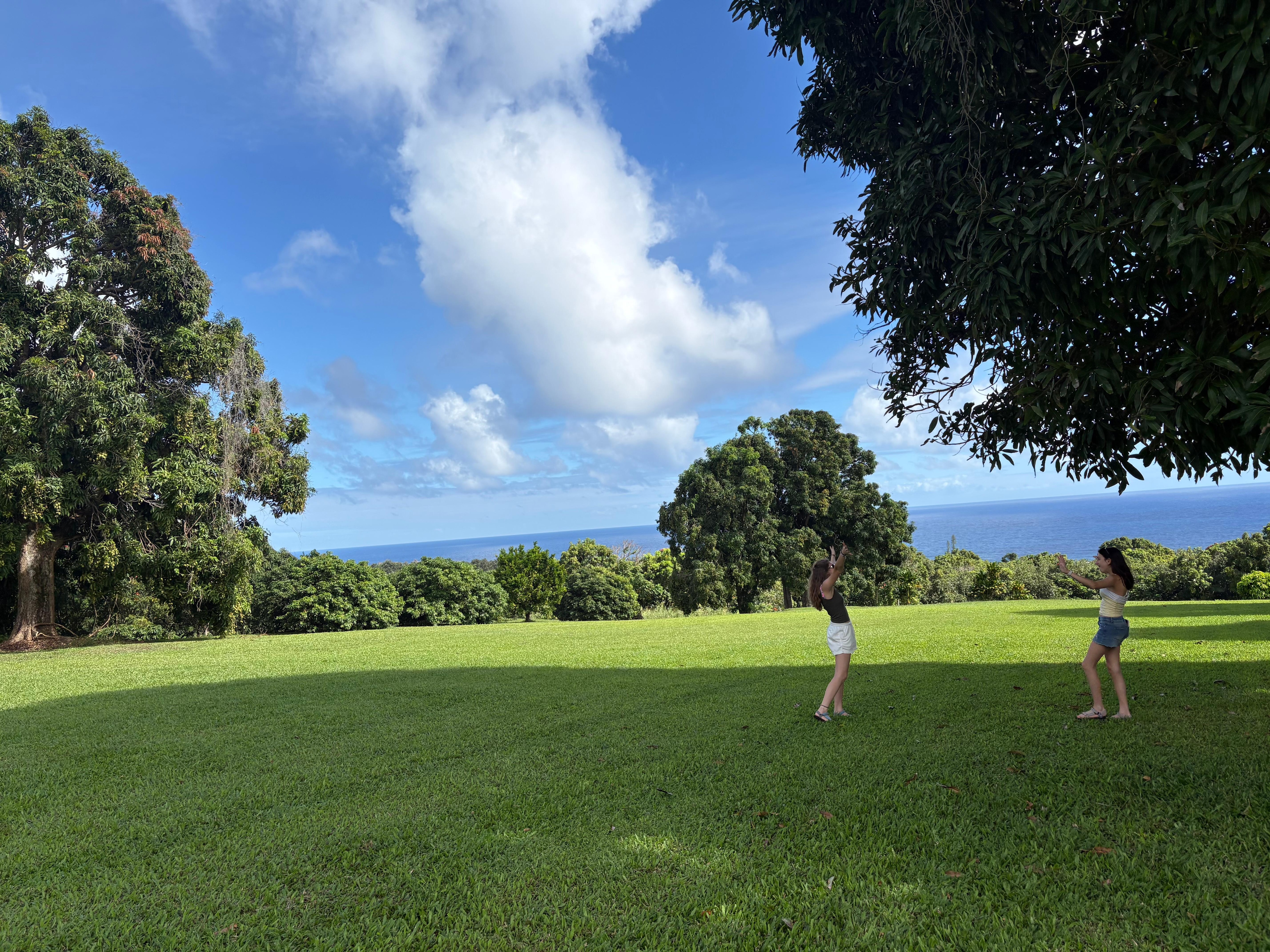 Fruit trees and great frisbee