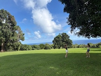 Fruit trees and great frisbee