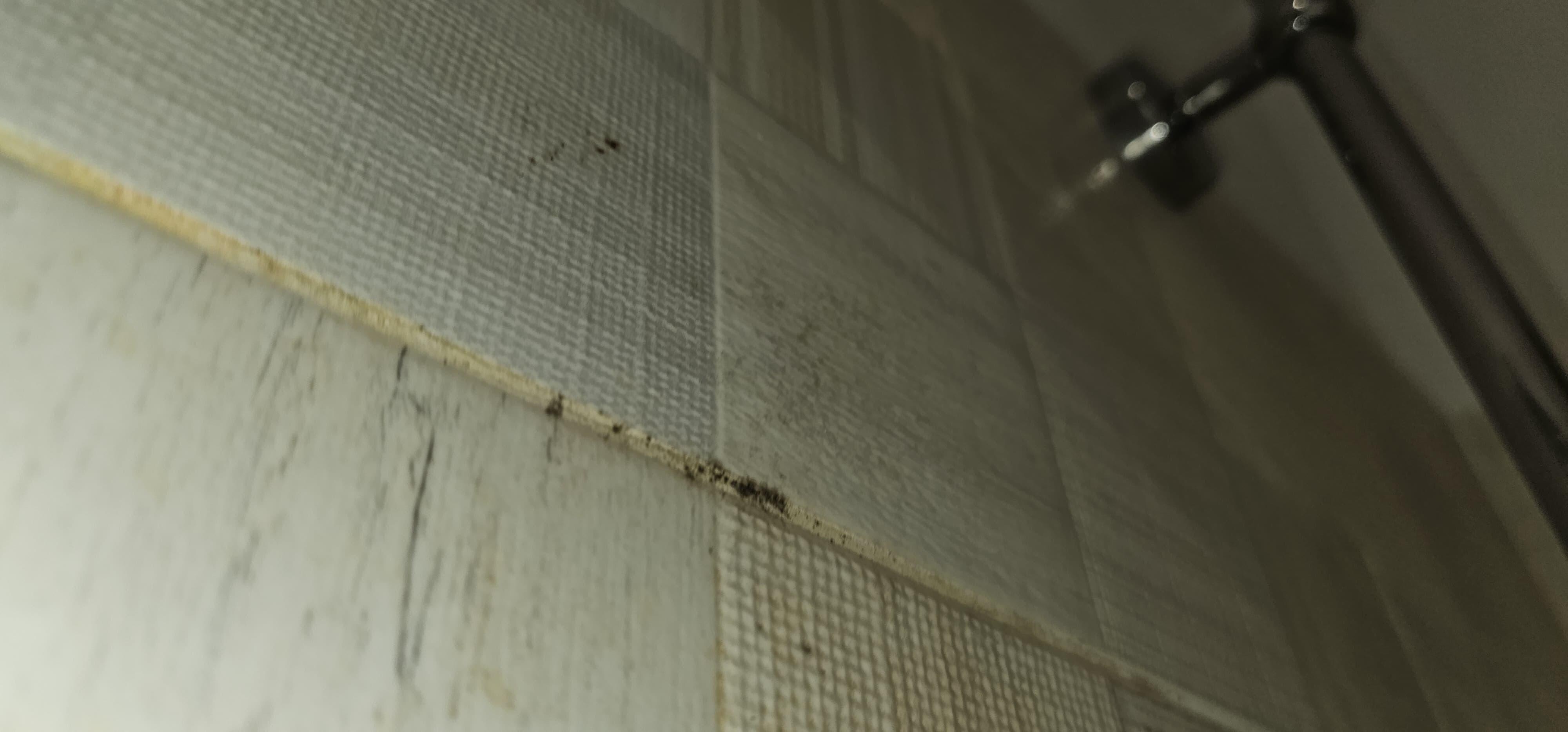 Shower walls with red and black mold