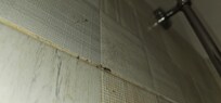 Shower walls with red and black mold