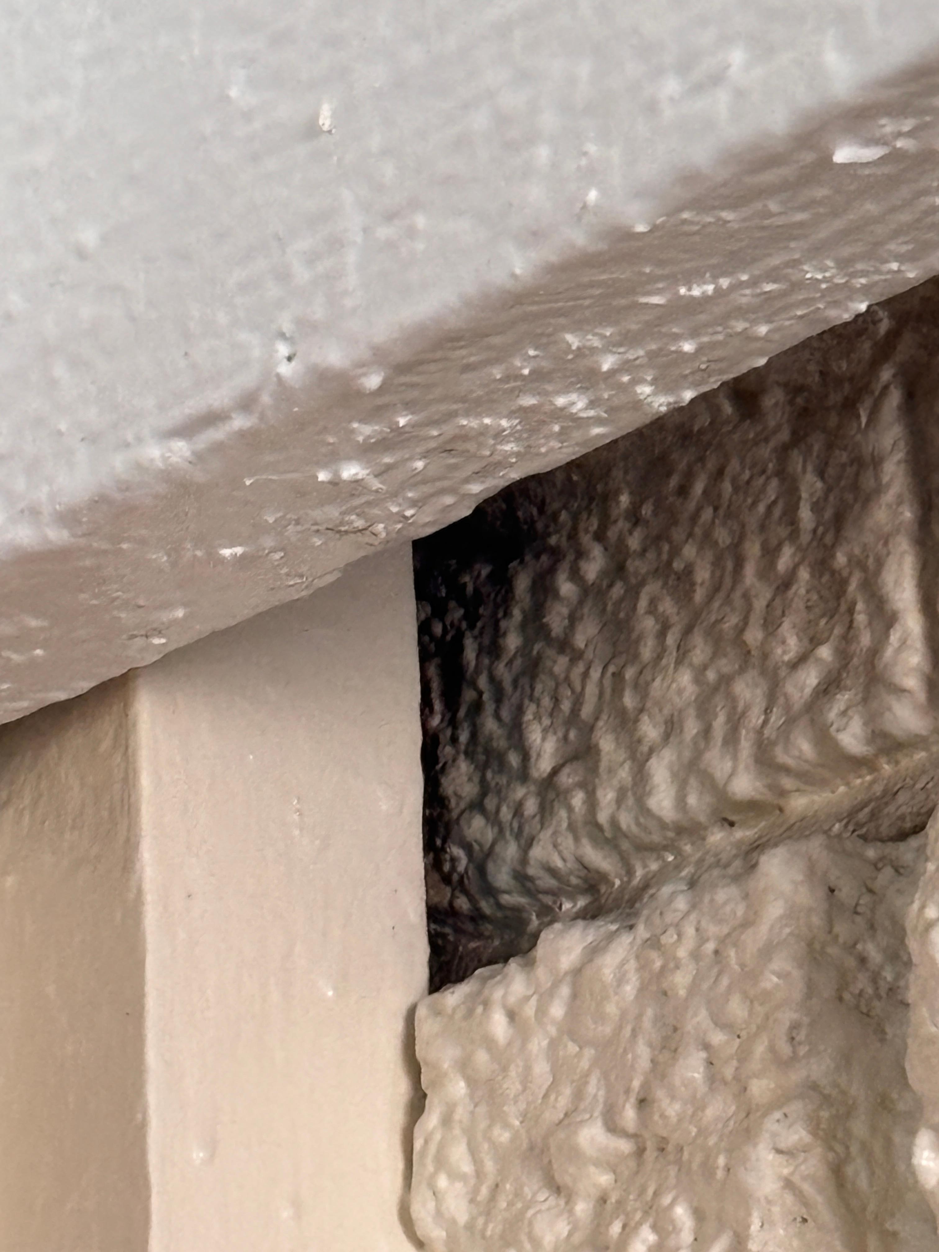 Black mold in corner of room