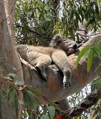 Life in Mallacoota is sooooo relaxing