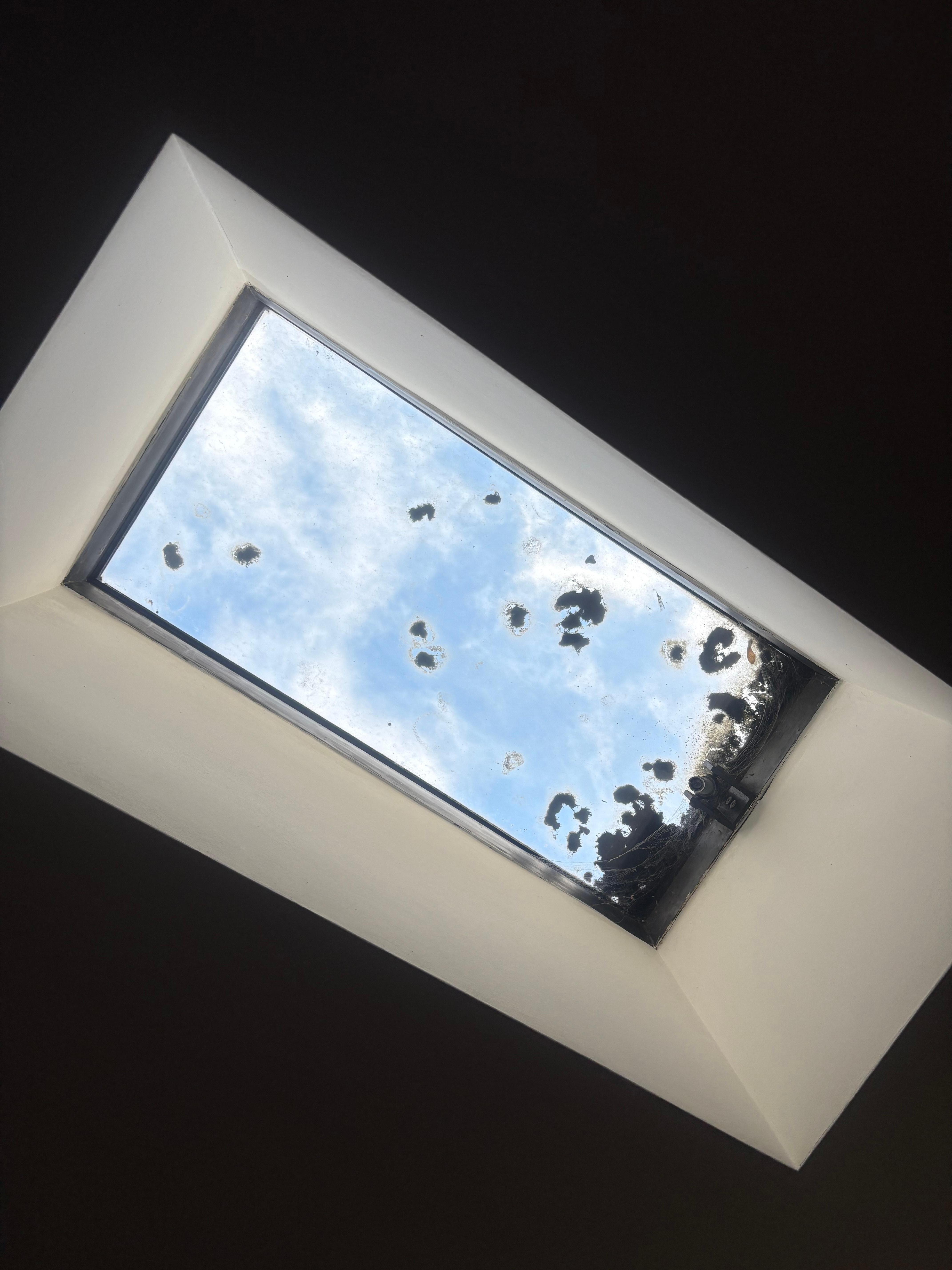 Moldy Skylight