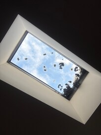 Moldy Skylight