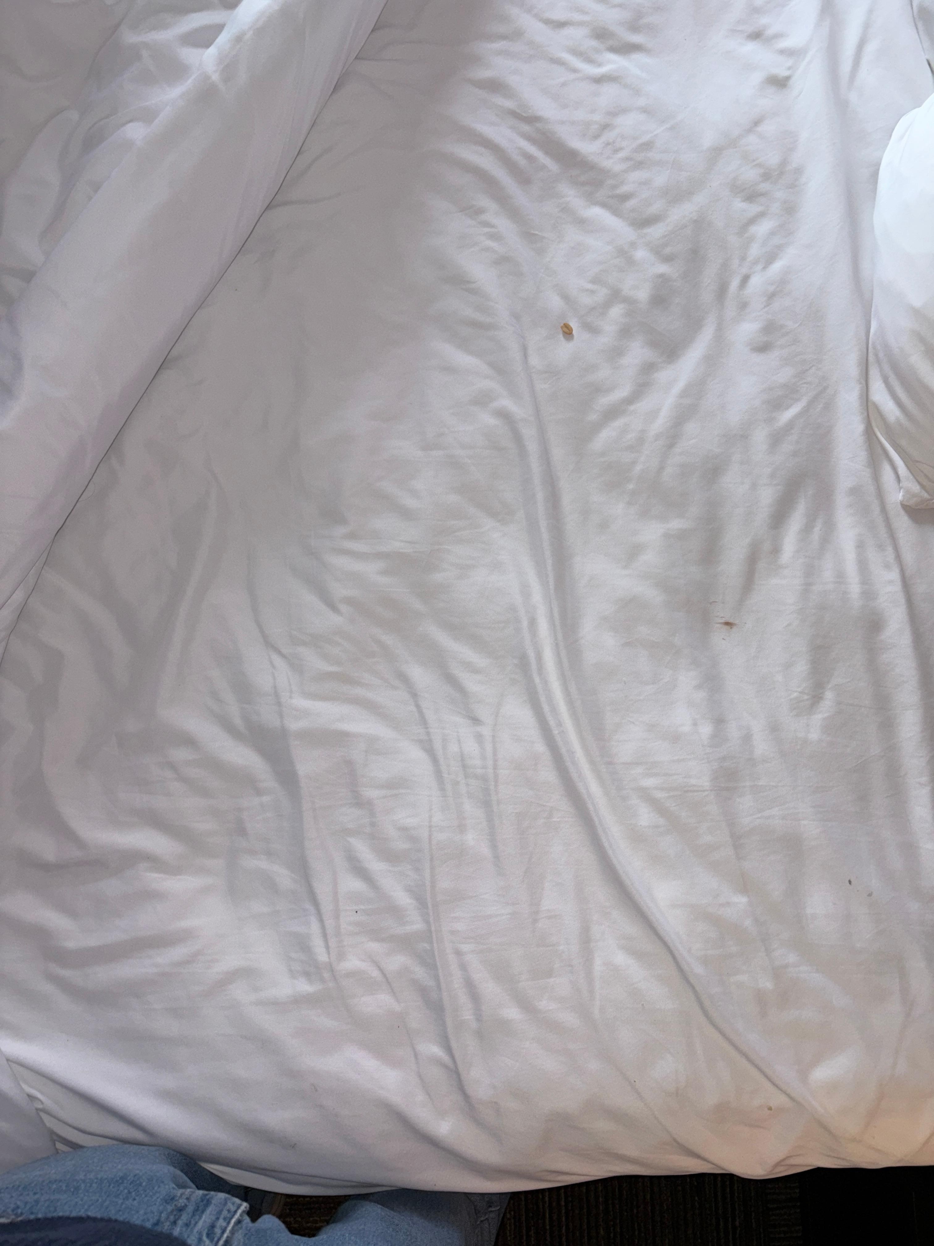 The peanut shells and back sweat.