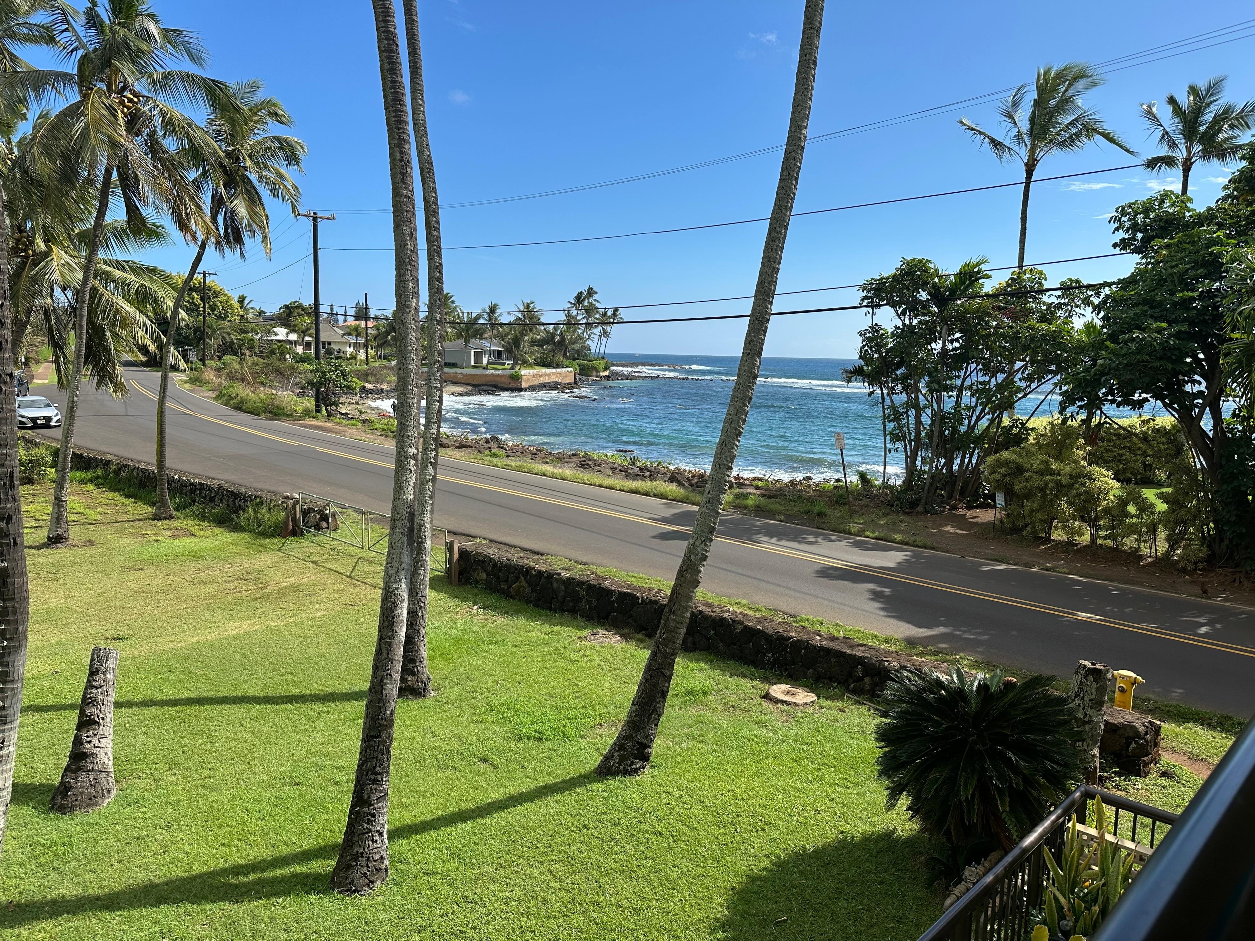 Park and road from lanai