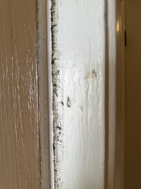 Black mold all along entry door frame/jam