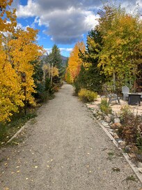 Path behind condo
