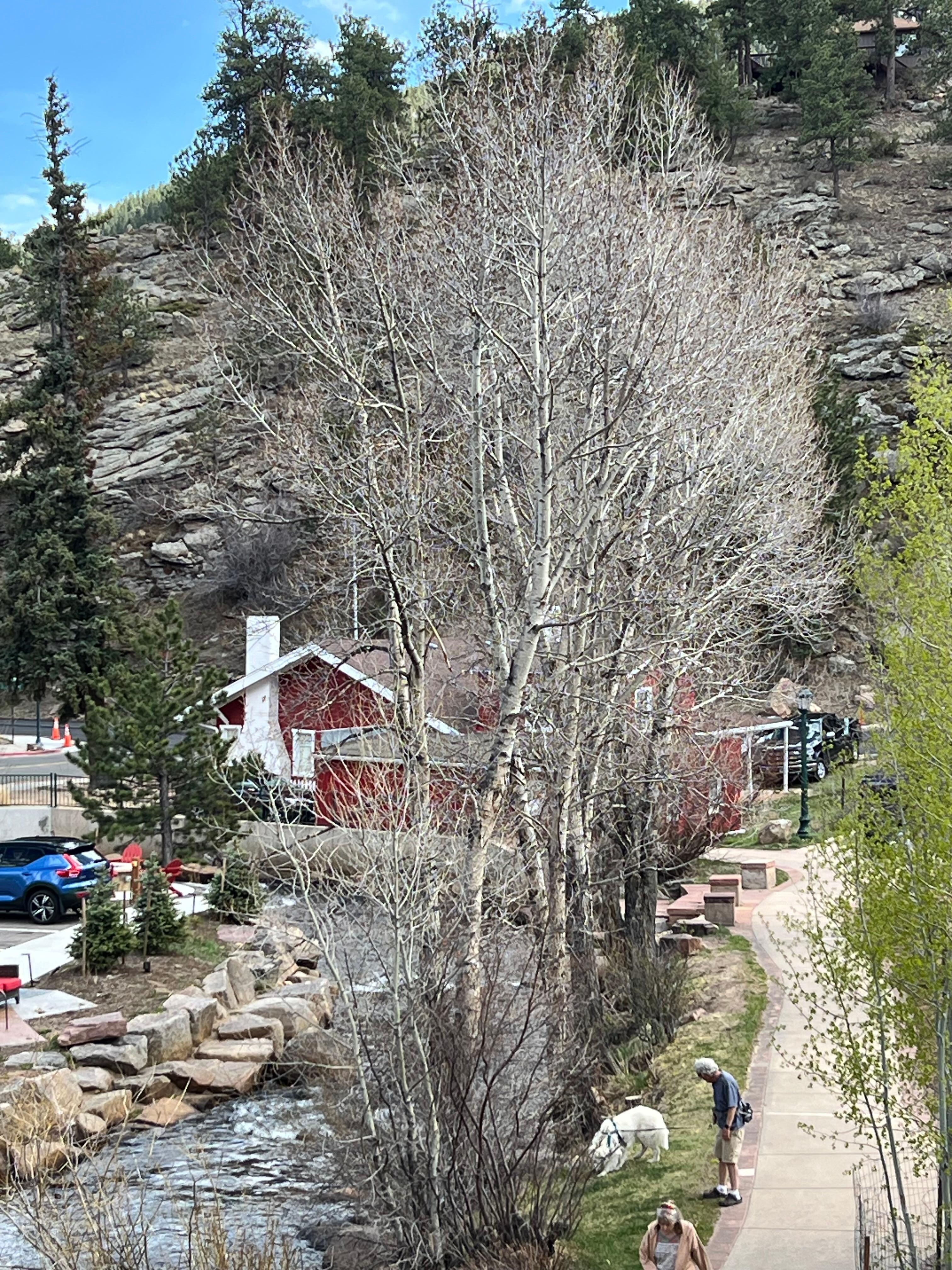 Beautiful well kept area!
