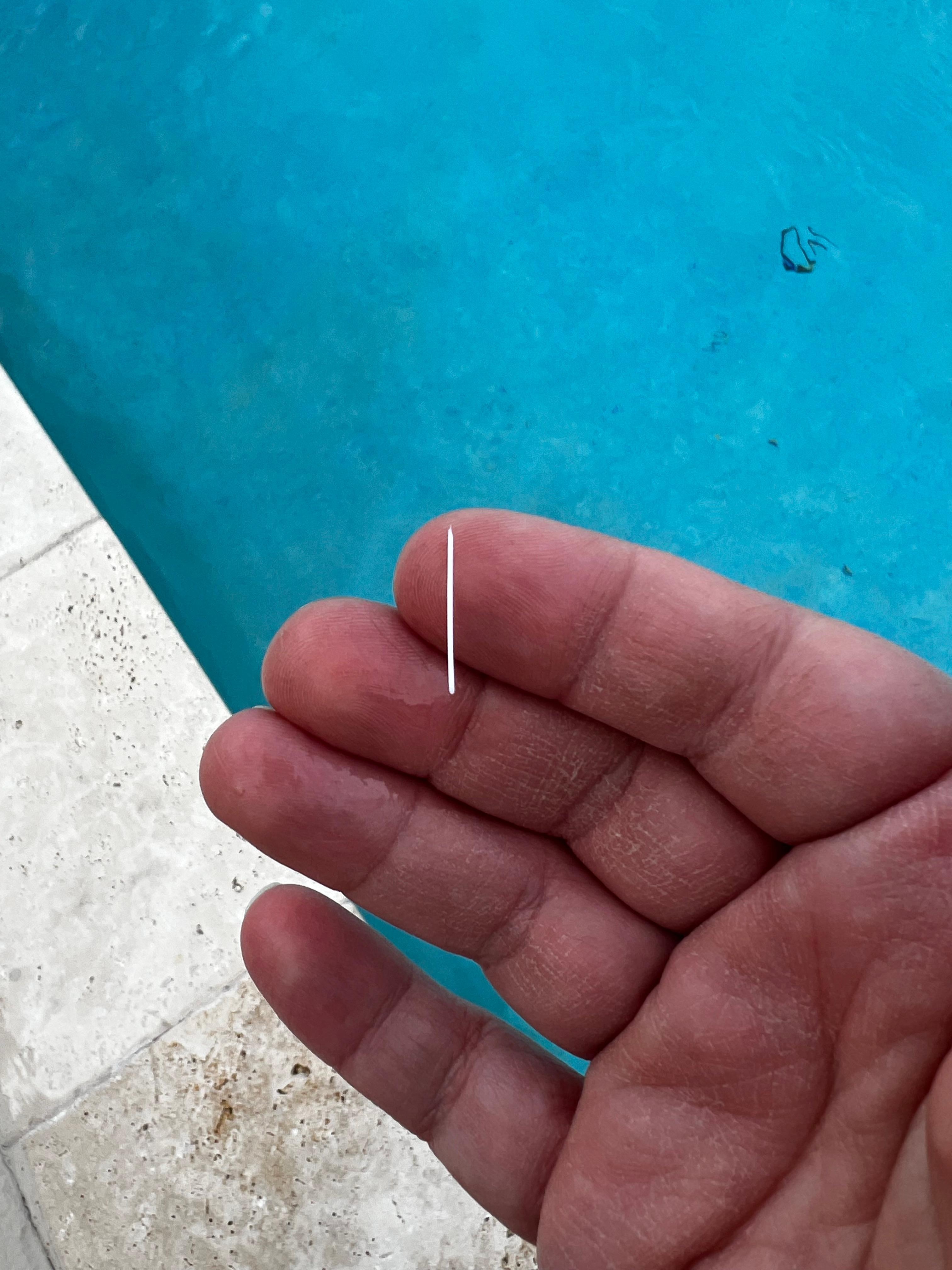 Plastic bristle from the pool