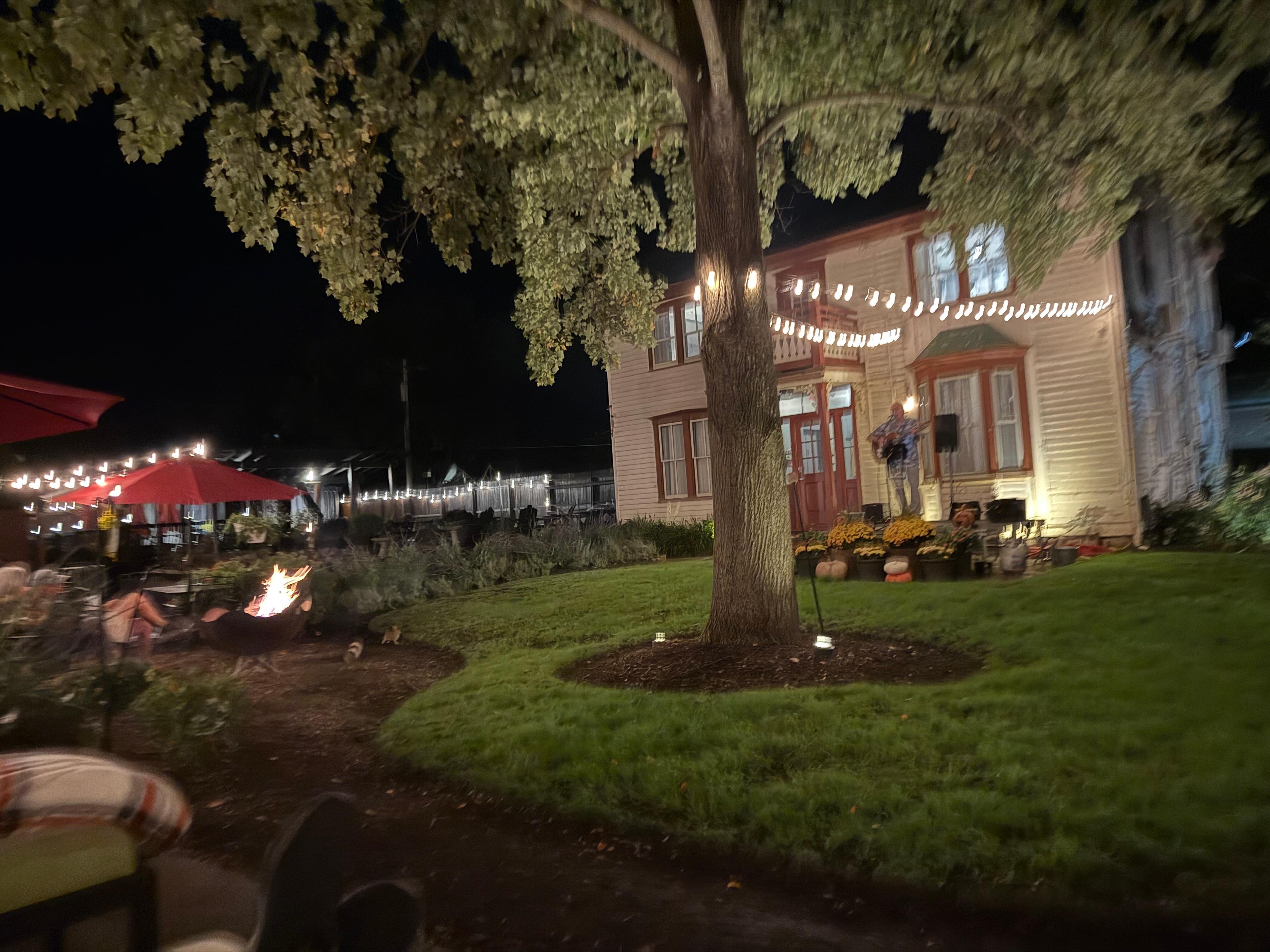 Friday night live music