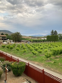 From upstairs back decj