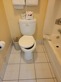 BATHROOM DIRTY TOILET SEAT BROKEN