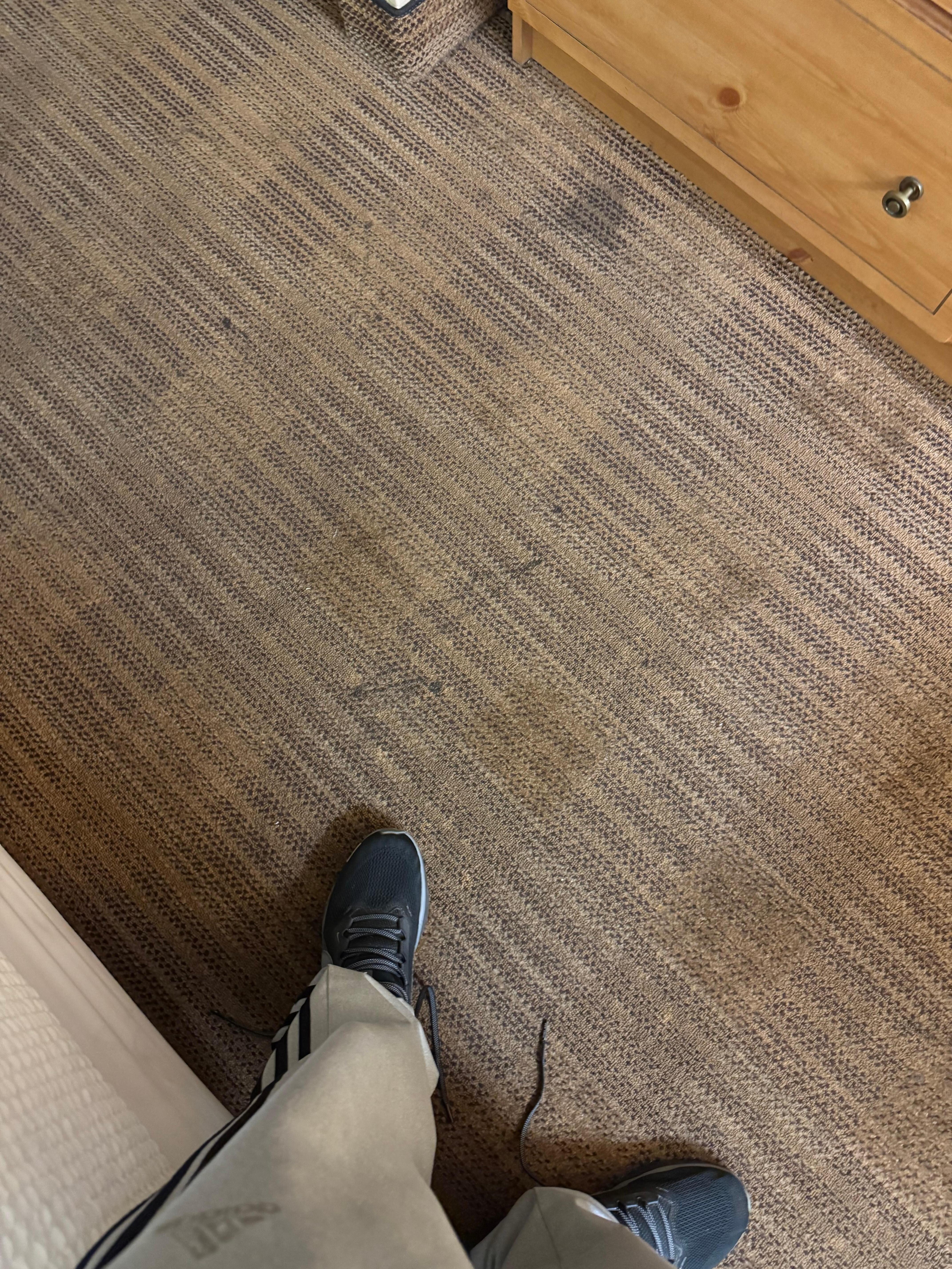 Filthy carpet that shouldn’t be cleaned, but replaced. 