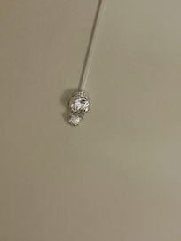 Fire detector covert !