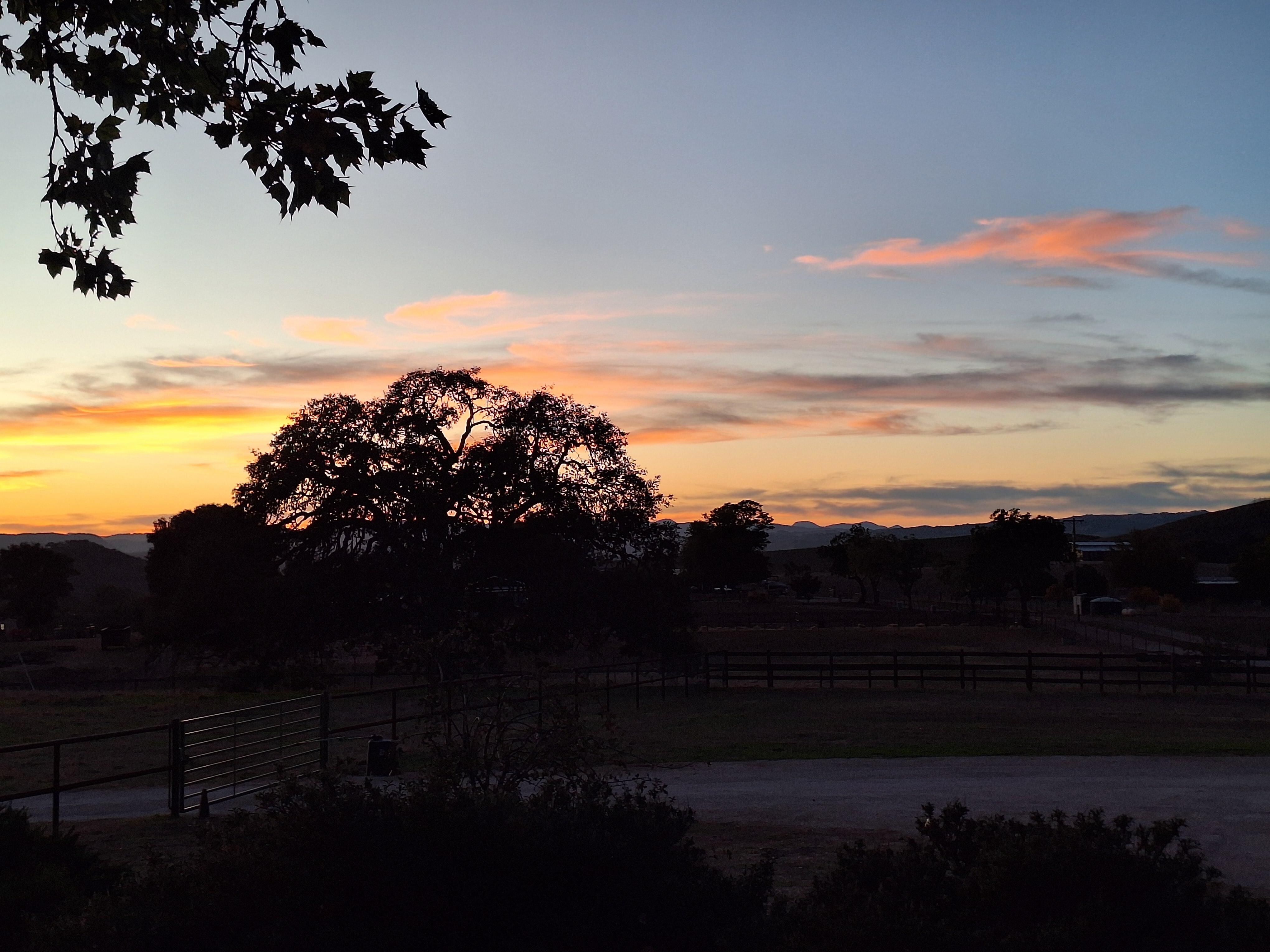 Sunset from front of house.