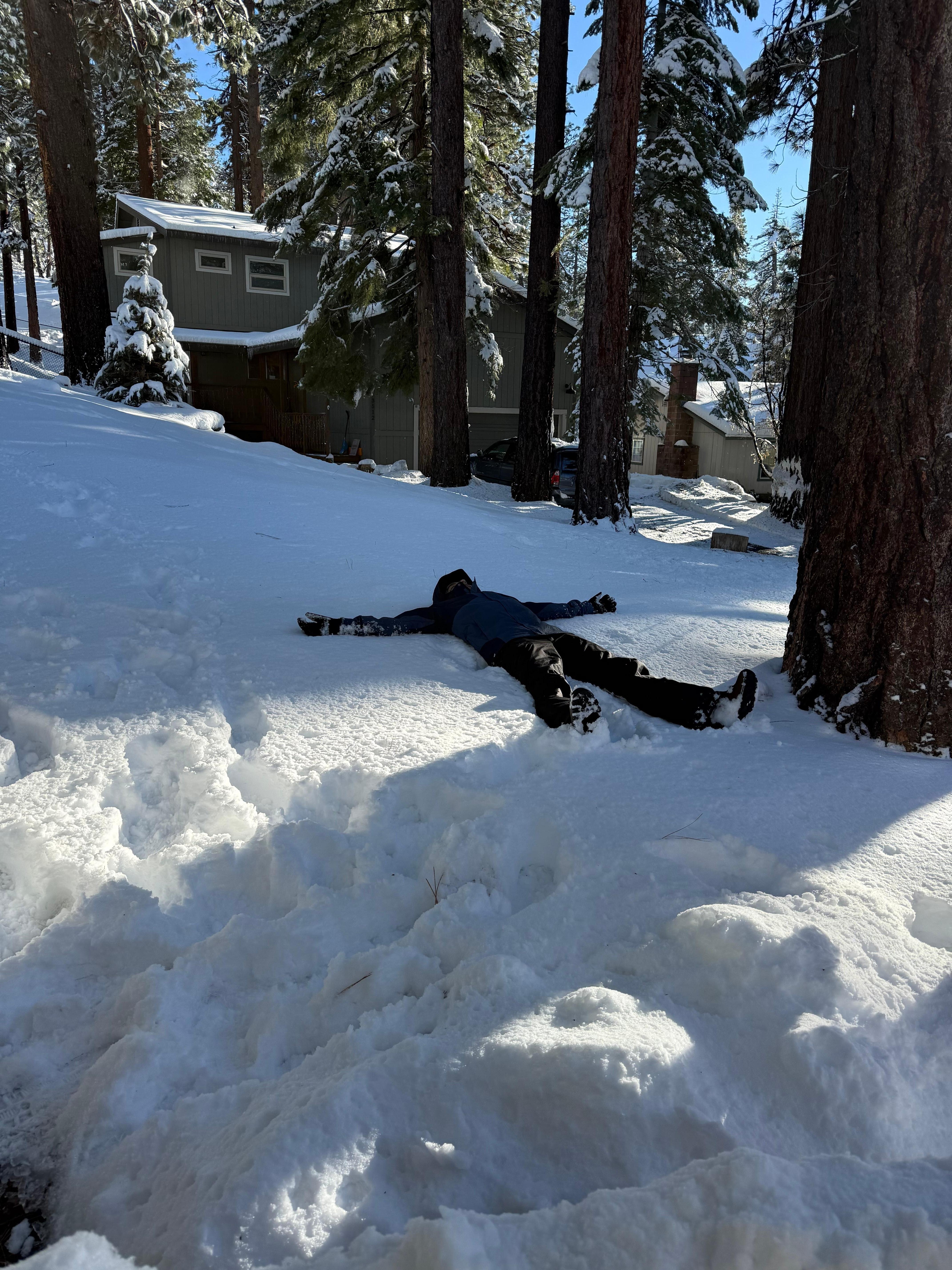 Plenty of space to play in the snow in the back yard